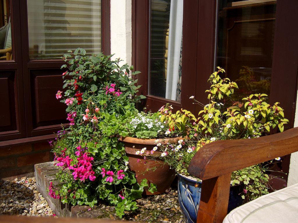 Weston Cottage Poole Dış mekan fotoğraf